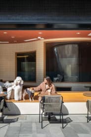 Healthy Bowl Pet Café
